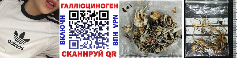 Галлюциногенные грибы Cubensis  продажа наркотиков  Крым 